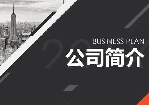 深圳市臻智付科技有限公司公司简介